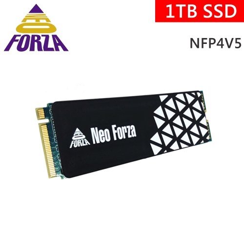 凌航 NFP4V5 1TB Gen4 PCIe 4.0/讀4800M/寫3500M/5年保